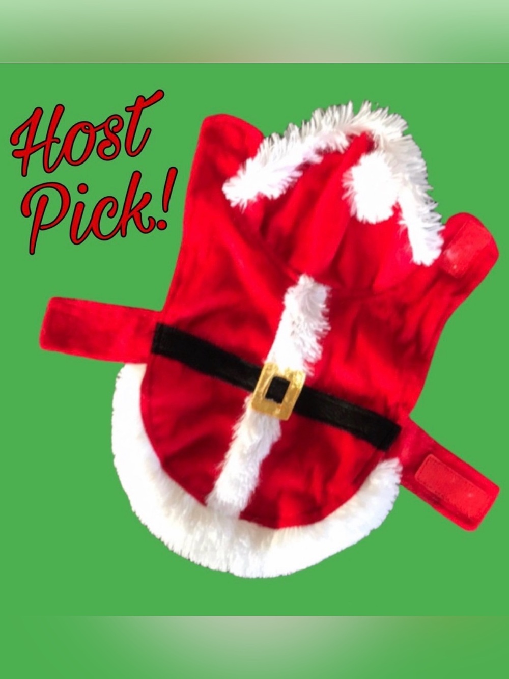DOG OR CAT RED & WHITE HOODED SANTA COSTUME, SIZE XS, EXTRA SMALL PUPPY, KITTEN